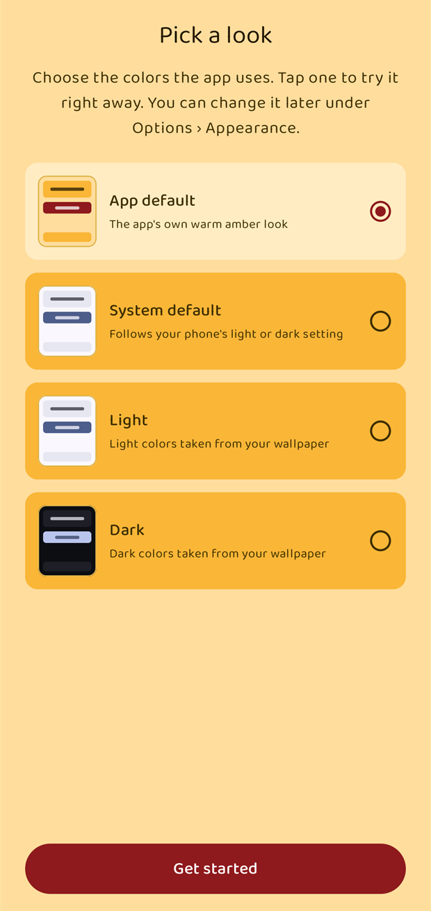 The Pick a look screen with four theme options