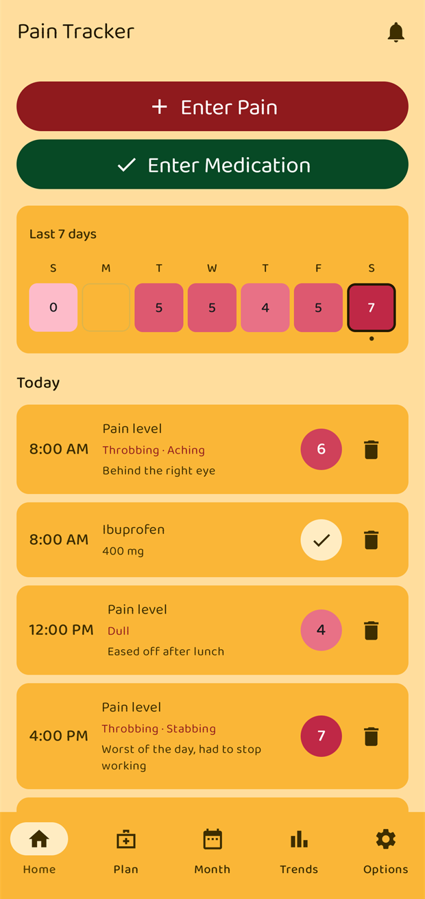 The Home screen showing today's pain entries and medication intakes