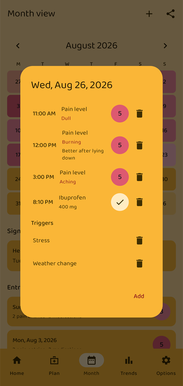 A single day's detail with entries, intakes and triggers